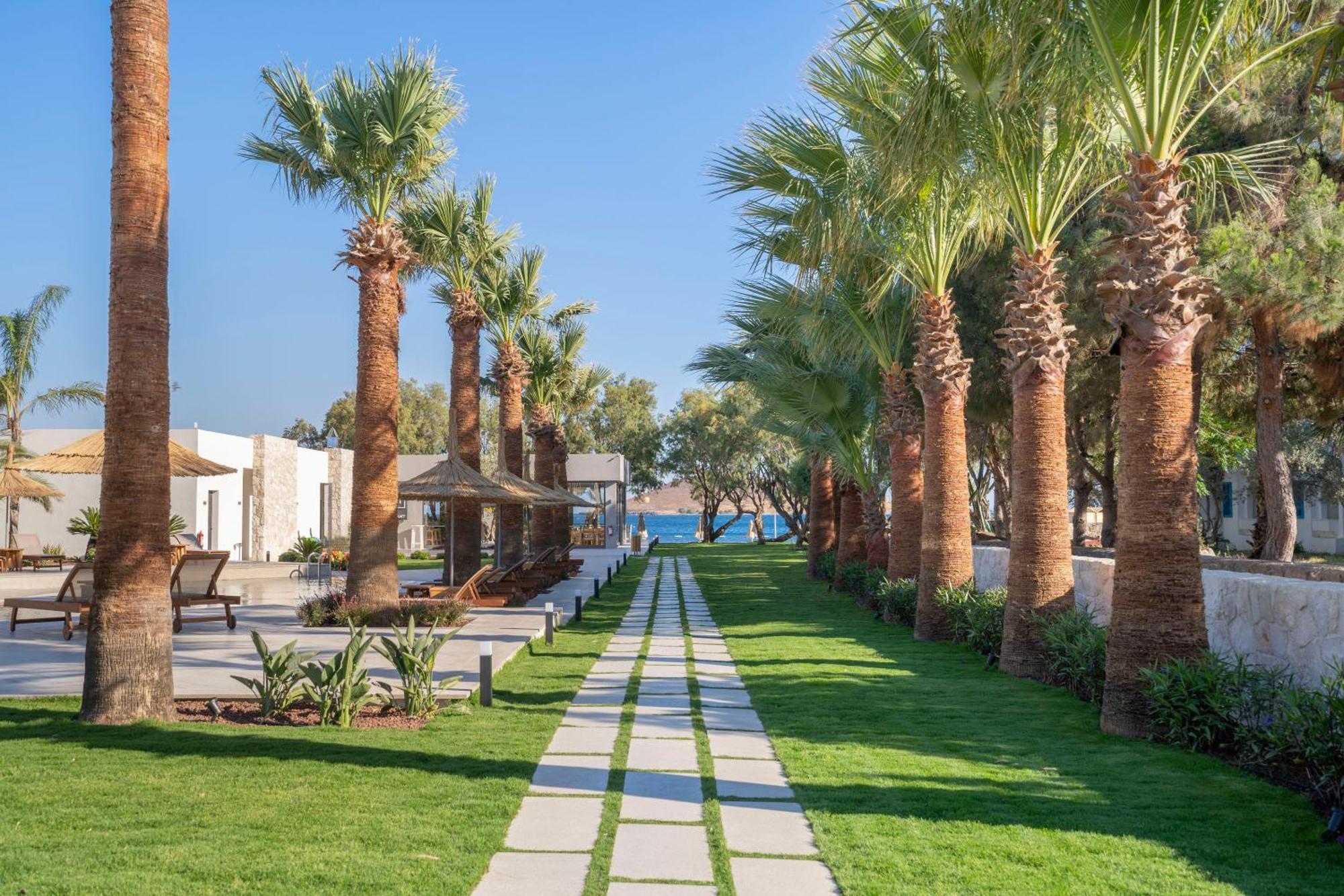 Regia Mare Beach Hotel & Spa Bodrum Ortakent Luaran gambar